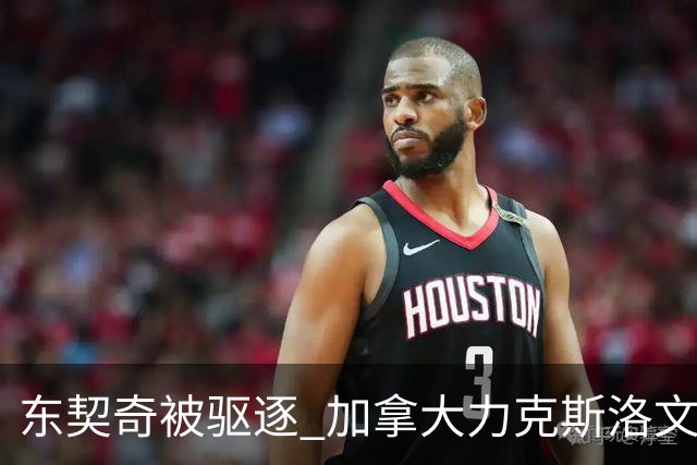 东契奇被驱逐 加拿大力克斯洛文尼亚晋级四强